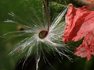 PA085529a.jpg